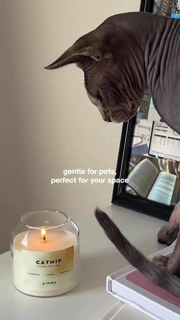 Petdle UGC video by Savannah June